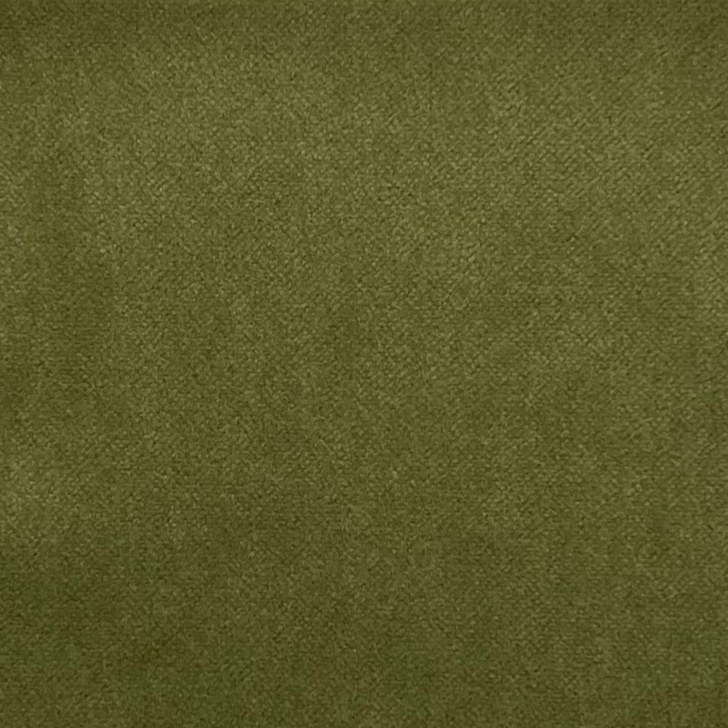 Light algea green velvet with light sheen meant for the outdoors, perfect for outdoor patio furniture.