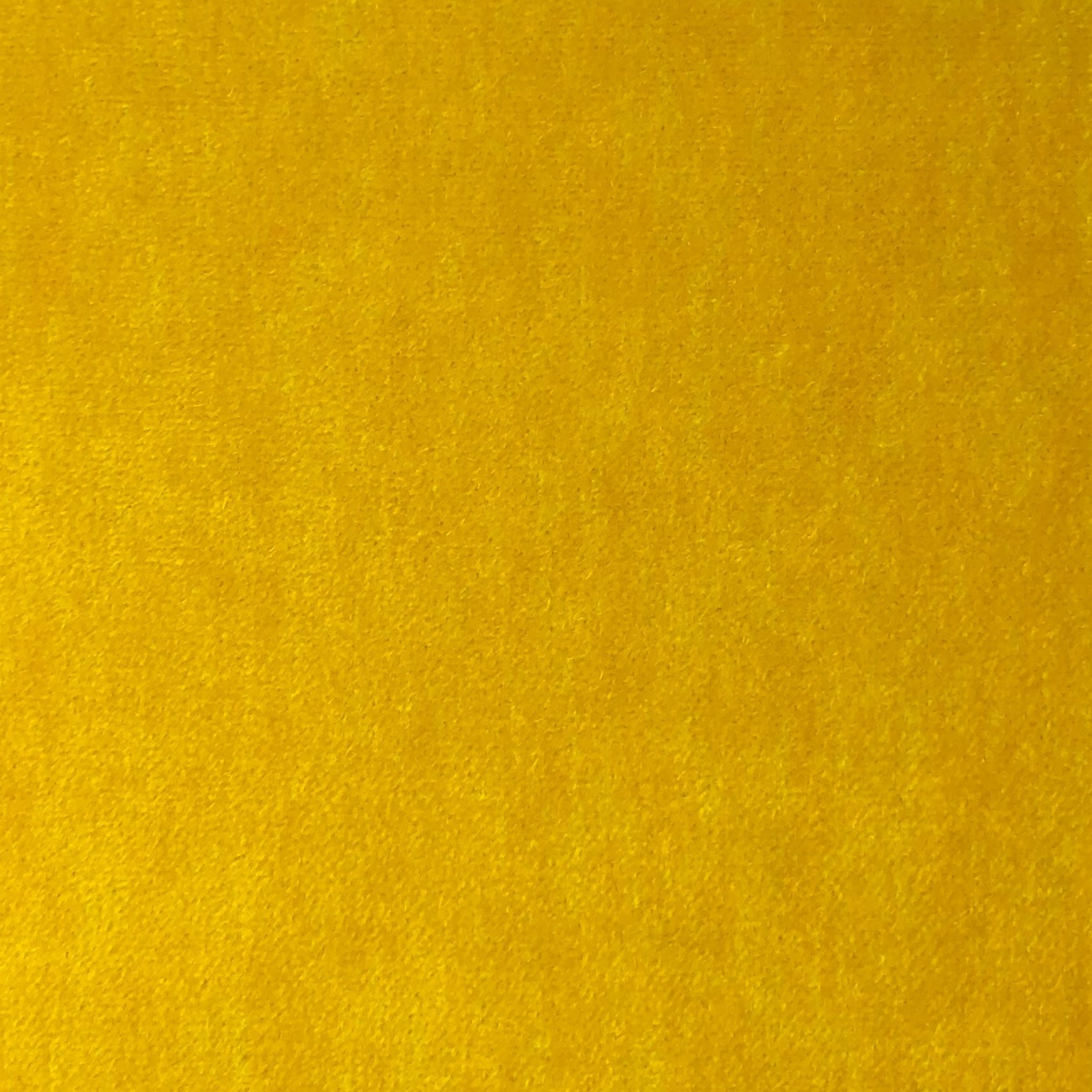 Solid mustard yellow color swatch